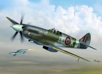 72095  авиация  Spitfire Mk.XIV E/C  (1:72) 8592977720958
