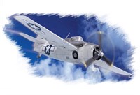 80221  авиация  FM-1 "Wildcat"  (1:72) 6939319202215