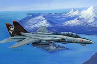 80368  авиация  F-14D Super Tomcat  (1:48) 6939319203687
