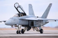 85813  авиация  F/A-18F Super Hornet  (1:48) 6939319258137