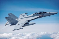 85814  авиация  EA-18G Growler  (1:48) 6939319258144