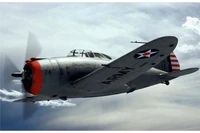 DW48029  авиация  Republic P-43 Lancer  (1:48) 4820237050434