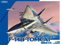 L4828  авиация  F-14B Tomcat  (1:48) 6947917010286