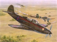 SH32028  авиация  P-39N/Q Soviet Guards Regiments  (1:32) 8594071083410