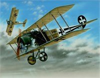 SH32065  авиация  WW I Fokker D.II "Black &amp; White Tail"  (1:32) 8594071086206