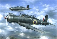 SH48050  авиация  Blackburn Roc  (1:48) 8594071080549