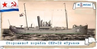 К-021  флот  Сторожевой корабль СКР-12 "Туман"  (1:200) 2000002221012