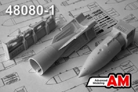 AMC 48080-1  дополнения из смолы  244Н (РН-24) с БД3-66-21Н  (1:48) 2000002164647