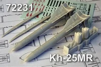 AMC 72231  дополнения из смолы  Х-25МР "изделие 714" ракета "воздух-поверхность" (2шт.)  (1:72) 2000002095033