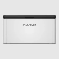 Принтер Pantum BP1800 4558055