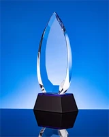 Награда Droplet 20118.40