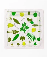 Бандана The Printed Image с природным принтом A&amp;F хлопок 55×55 см 47798979