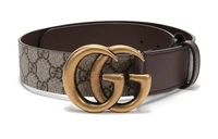 Ремень Gucci из канвы и натуральной кожи, коричневый 10394543