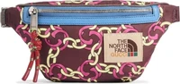 Сумка The North Face x Gucci Belt Bag Burgundy Multi 666336