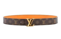 Мужской ремень Louis Vuitton, коричневый 10437247