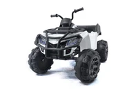 Детский квадроцикл Grizzly Next White 4WD с пультом управления 2.4G - BDM0909 BDM0909-WHITE-4RC