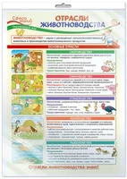 *ПО-14403 ПЛАКАТ А3 В ПАКЕТЕ. Окружающий мир в 4 классе. Отрасли животноводства (в индивидуальной упаковке, с европодвесом и клеевым клапаном) 302571114