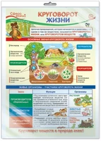 *ПО-13973 ПЛАКАТ А3 В ПАКЕТЕ. Окружающий мир в 3 классе. Круговорот жизни (в индивидуальной упаковке, с европодвесом и клеевым клапаном) 240674747