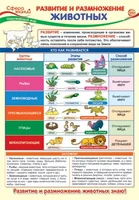 ПО-13971 Плакат А3.Окружающий мир в 3 классе. Развитие и размножение животных 2028237553