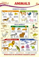 ПО-13437 Плакат А3. Английский язык в 1 классе. Animals 1854197267