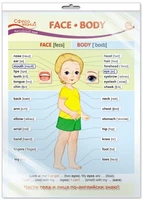 *ПО-13438 ПЛАКАТ А3 В ПАКЕТЕ. Английский язык в 1 классе. Face. Body (в индивидуальной упаковке, с европодвесом и клеевым клапаном) 803052883