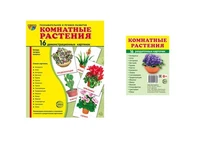 *Комплект. Дем. картинки СУПЕР Комнатные растения (2 формата: 173х220 и 63х87) 217567928
