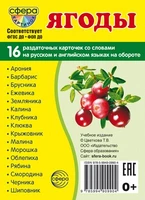 Дем. картинки СУПЕР Ягоды. 16 раздаточных карточек с текстом на обороте (учебно-методическое пособие с комплектом демонстрационного материала 63х87 мм, познавательное и речевое развитие) 1497995000