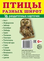Дем. картинки СУПЕР Птицы разных широт. 16 раздаточных карточек с текстом на обороте (учебно-методическое пособие с комплектом демонстрационного материала 63х87 мм, познавательное и речевое развитие) 826484468