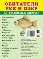 Дем. картинки СУПЕР Обитатели рек и озер.16 раздаточных карточек с текстом на обороте (учебно-методическое пособие с комплектом демонстрационного материала 63х87 мм, познавательное и речевое развитие) 1614862779