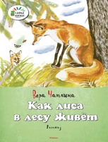 Как лиса в лесу живёт 909691930
