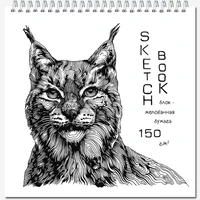 Блокнот-скетчбук QUADRO BIG SILK 40 листов на металлическом гребне 54184078