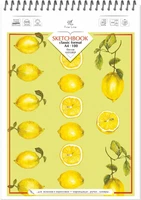 Блокнот-скетчбук SKETCHBOOK 100 А4 40 листов на металлическом гребне 400978649