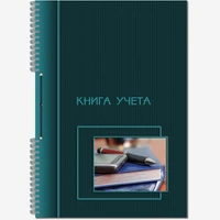 Коляска 2 в 1 Riko Basic Ozon 02 черно-зеленый 795768051