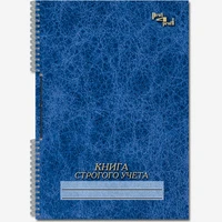 Книга строгого учета с перфорацией и шнуровкой 50 листов 370011140