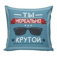 Подушка декоративная Со смыслом 08 834000252