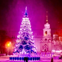 Green Trees Высотная Уличная Ель Альпийская 5.0 м. хвоя пленка - ЕА-500П 1256339859