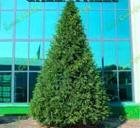 Green Trees Ель Финская Премиум 5.0 м. хвоя РЕ+PVC - ЕФП-5.0РP 1203540799