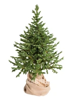 Green Trees Ель Датская Премиум 1.8 м. 1018467304