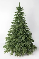 Green Trees Ель Онтарио Люкс 2.4 м. 752103385