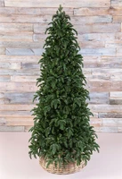 Triumph Tree Ель Нормандия Стройная 260 см. - 73656 1003321614