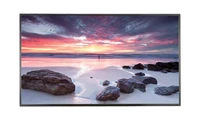 Интерактивная панель Samsung PM55F-BC 127535121
