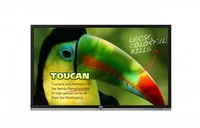 Интерактивная панель BENQ RP653 1595473634