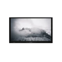 Интерактивная панель IQBoard IQTouch 65"LE065MD 770966158