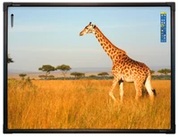 Интерактивная доска 78" ActivBoard Touch, ПО ActivInspire 617580544