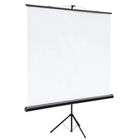 Экран на штативе 150x150 см Braun Tripod 1834276953