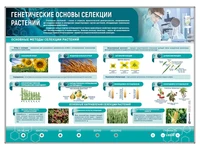 Электрифицированный стенд "Генетические основы селекции растений" Zarnitza 1349322122