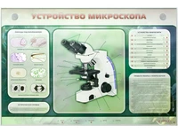 Электрифицированный стенд "Устройство микроскопа и правила работы c ним" Zarnitza 40218832