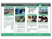 Электрифицированный стенд "Сибирская язва" Zarnitza 1835926236