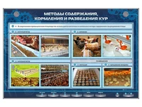 Электрифицированный стенд "Методы содержания, кормления и разведения кур" Zarnitza 1103942151