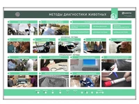 Электрифицированный стенд "Методы диагностики животных" Zarnitza 1109477820
